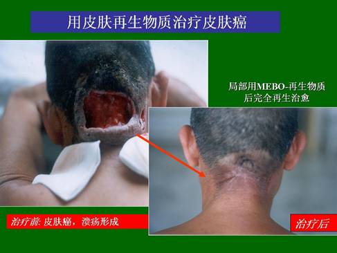 zoty中欧·(中国有限公司)官方网站