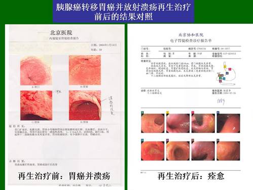 zoty中欧·(中国有限公司)官方网站