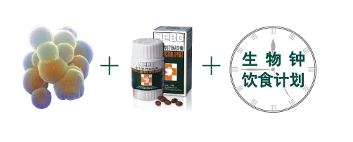 zoty中欧·(中国有限公司)官方网站