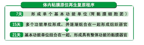 zoty中欧·(中国有限公司)官方网站
