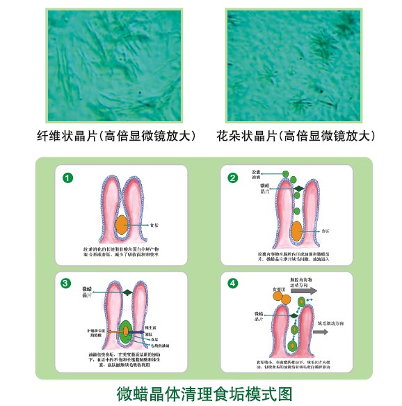 zoty中欧·(中国有限公司)官方网站