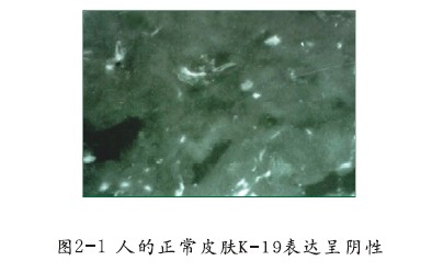 zoty中欧·(中国有限公司)官方网站