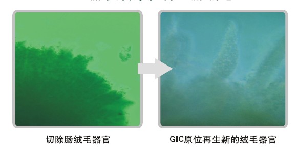 zoty中欧·(中国有限公司)官方网站