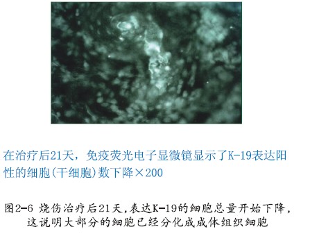 zoty中欧·(中国有限公司)官方网站