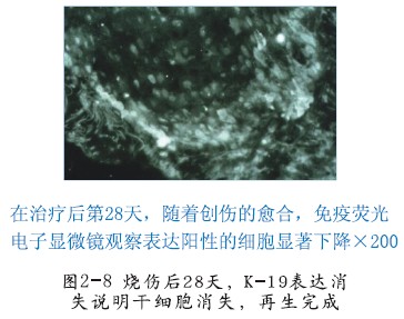 zoty中欧·(中国有限公司)官方网站