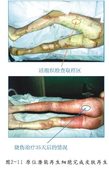 zoty中欧·(中国有限公司)官方网站