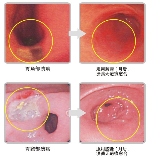 zoty中欧·(中国有限公司)官方网站