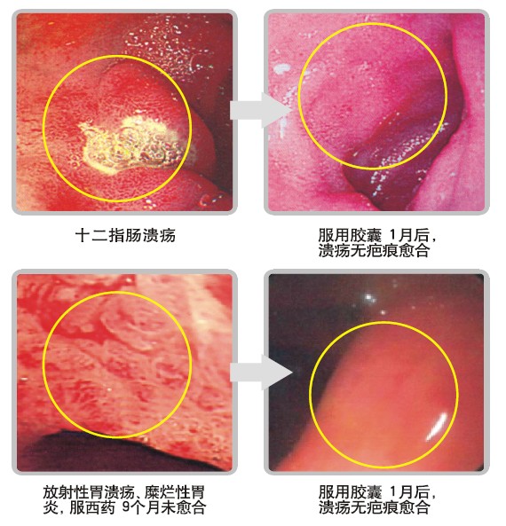 zoty中欧·(中国有限公司)官方网站