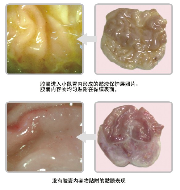 zoty中欧·(中国有限公司)官方网站