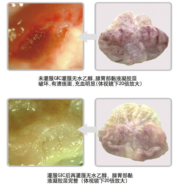 zoty中欧·(中国有限公司)官方网站