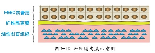 zoty中欧·(中国有限公司)官方网站