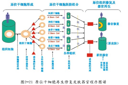 zoty中欧·(中国有限公司)官方网站
