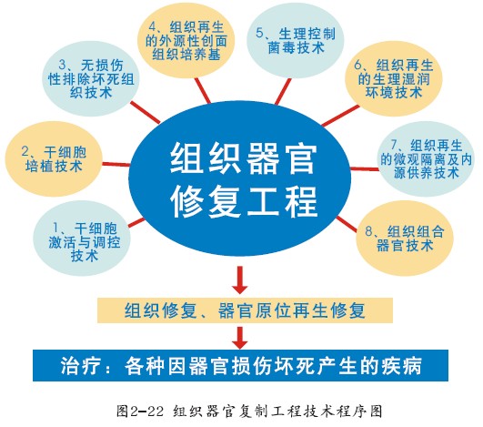 zoty中欧·(中国有限公司)官方网站