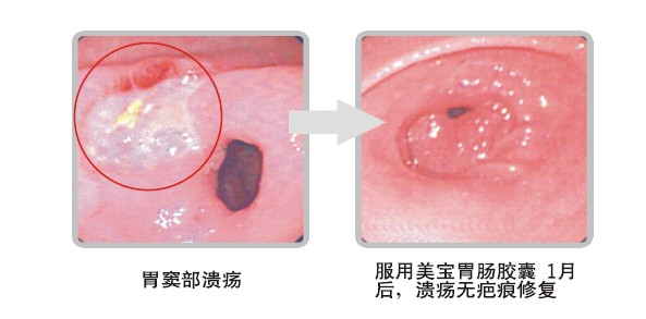 zoty中欧·(中国有限公司)官方网站