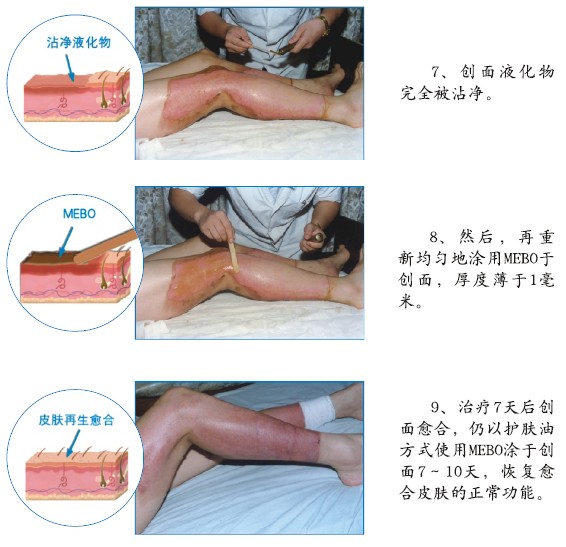 zoty中欧·(中国有限公司)官方网站