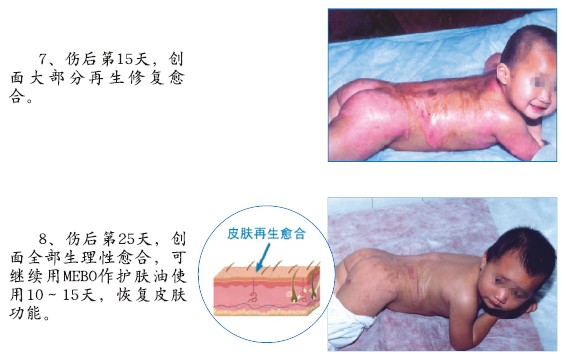 zoty中欧·(中国有限公司)官方网站