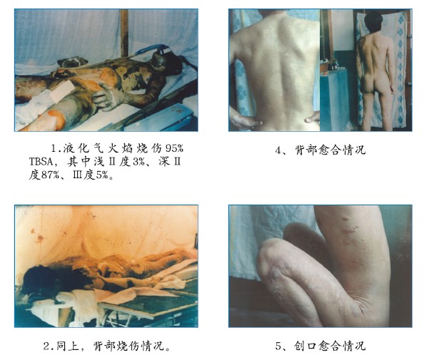 zoty中欧·(中国有限公司)官方网站