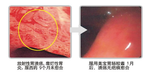 zoty中欧·(中国有限公司)官方网站