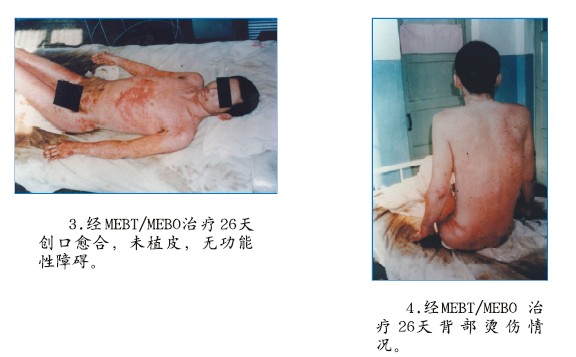 zoty中欧·(中国有限公司)官方网站