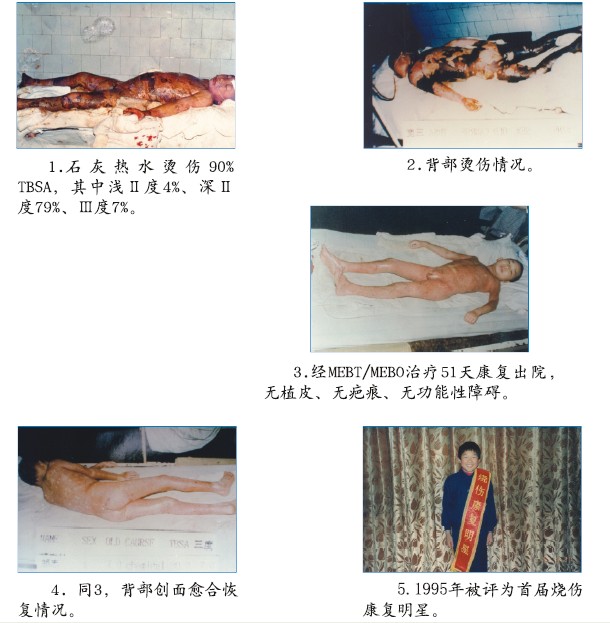 zoty中欧·(中国有限公司)官方网站