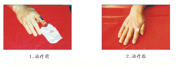 zoty中欧·(中国有限公司)官方网站