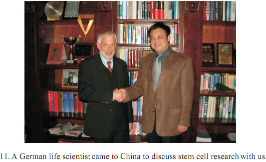 zoty中欧·(中国有限公司)官方网站