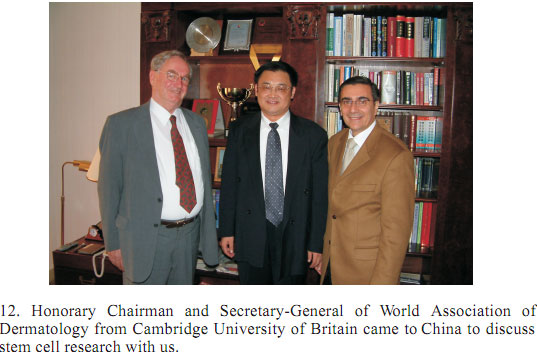 zoty中欧·(中国有限公司)官方网站