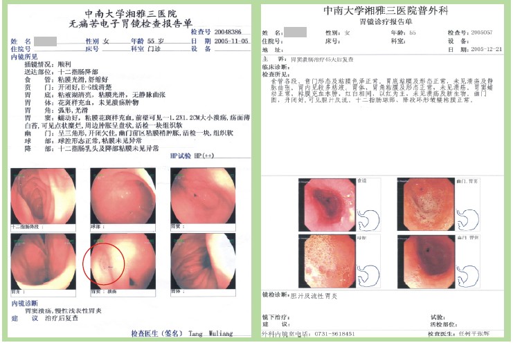 zoty中欧·(中国有限公司)官方网站