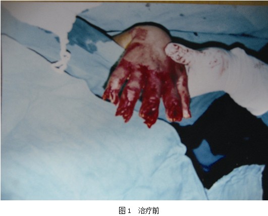 zoty中欧·(中国有限公司)官方网站