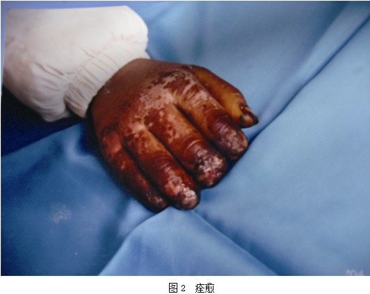 zoty中欧·(中国有限公司)官方网站