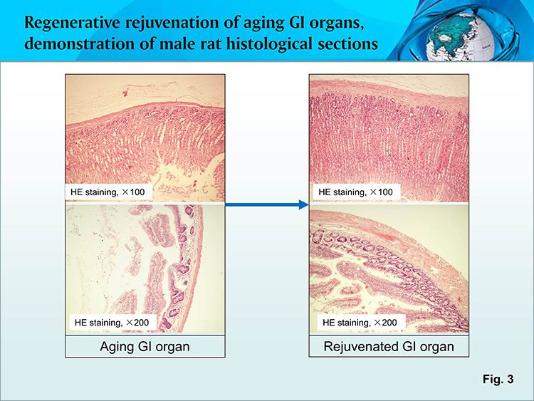zoty中欧·(中国有限公司)官方网站