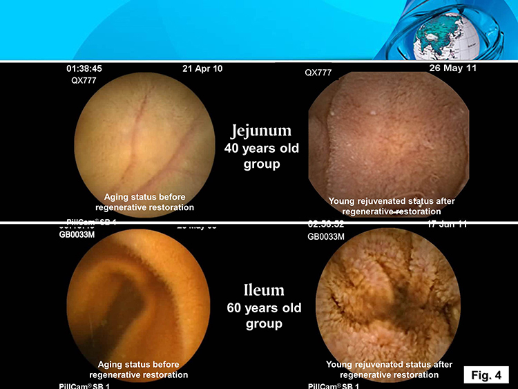 zoty中欧·(中国有限公司)官方网站