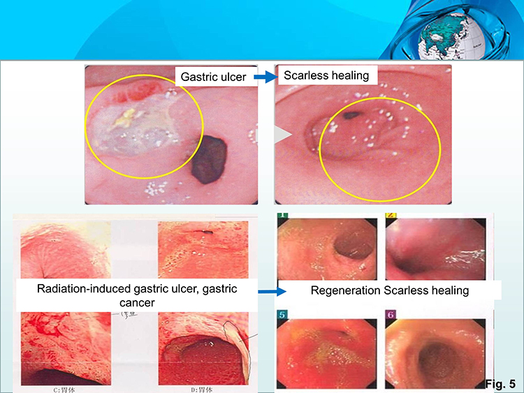 zoty中欧·(中国有限公司)官方网站