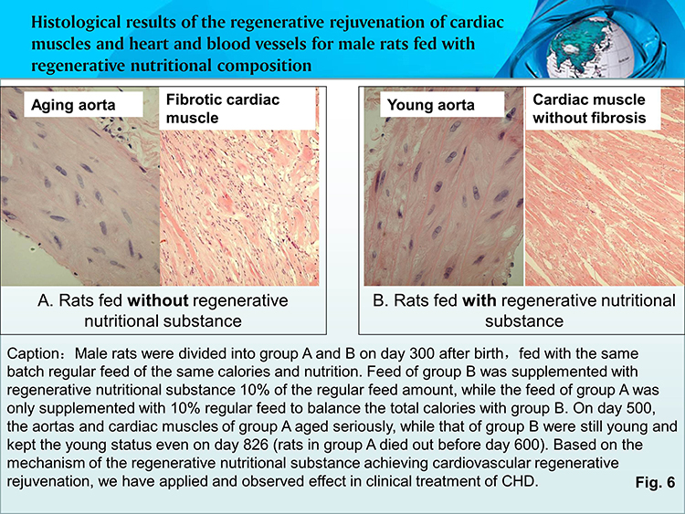 zoty中欧·(中国有限公司)官方网站