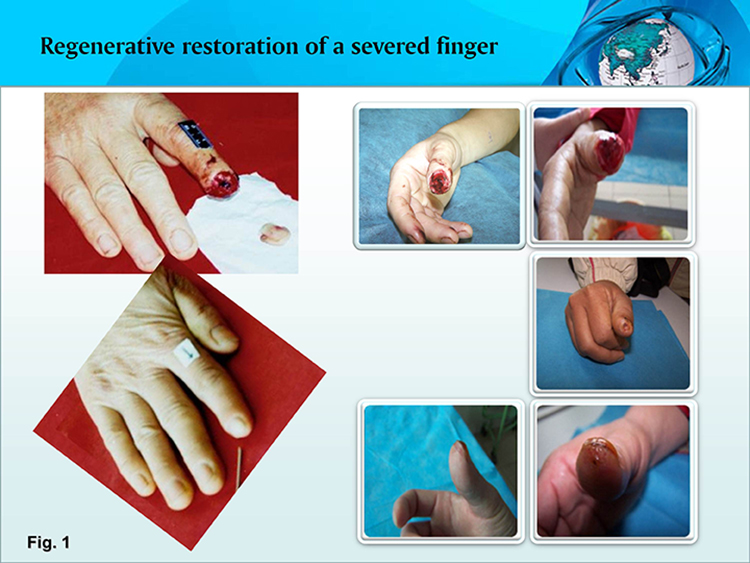 zoty中欧·(中国有限公司)官方网站