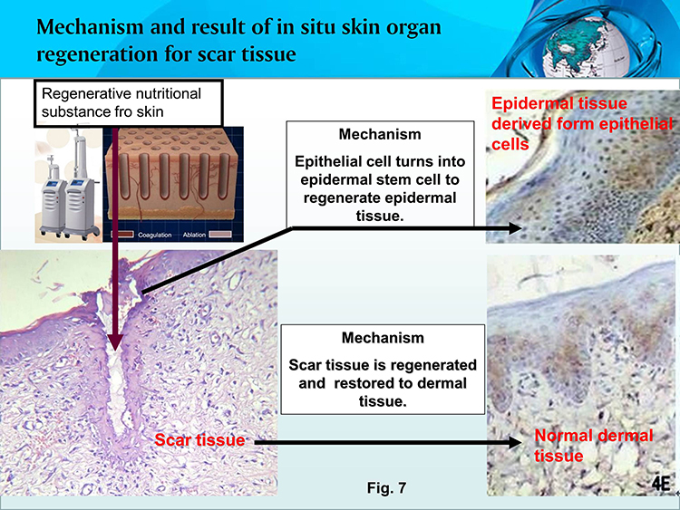 zoty中欧·(中国有限公司)官方网站