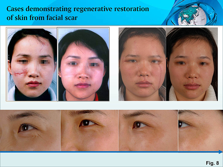 zoty中欧·(中国有限公司)官方网站