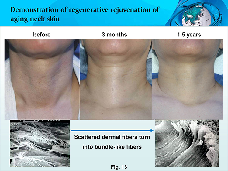 zoty中欧·(中国有限公司)官方网站
