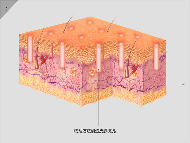 zoty中欧·(中国有限公司)官方网站