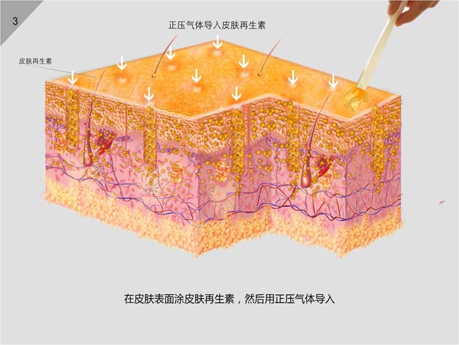 zoty中欧·(中国有限公司)官方网站