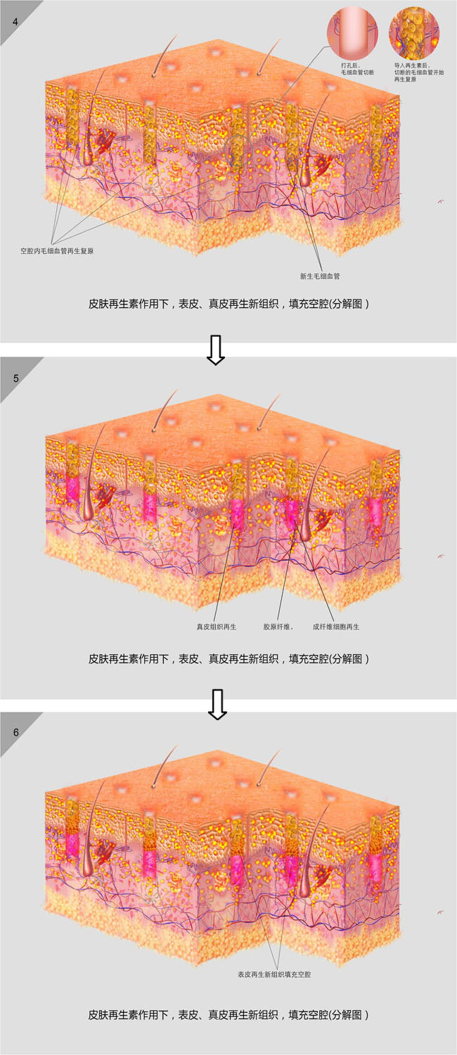 zoty中欧·(中国有限公司)官方网站