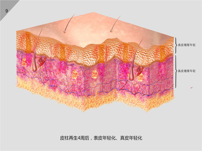 zoty中欧·(中国有限公司)官方网站