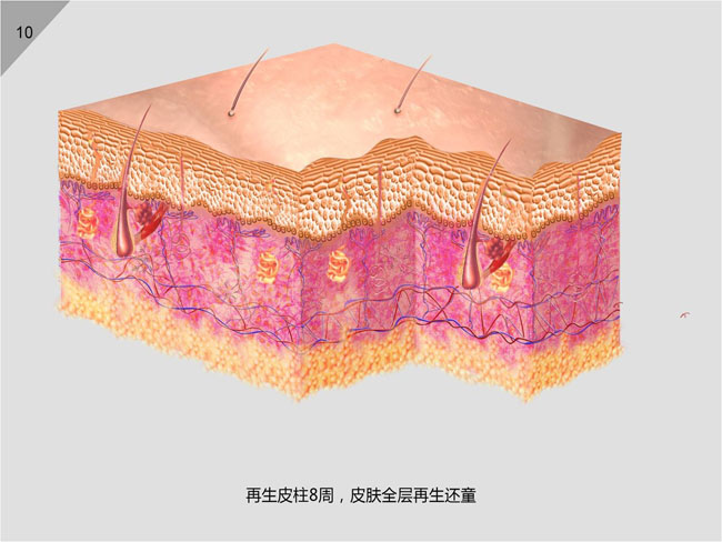 zoty中欧·(中国有限公司)官方网站