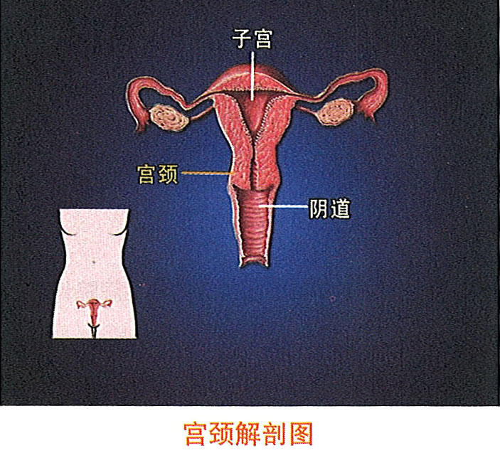 zoty中欧·(中国有限公司)官方网站