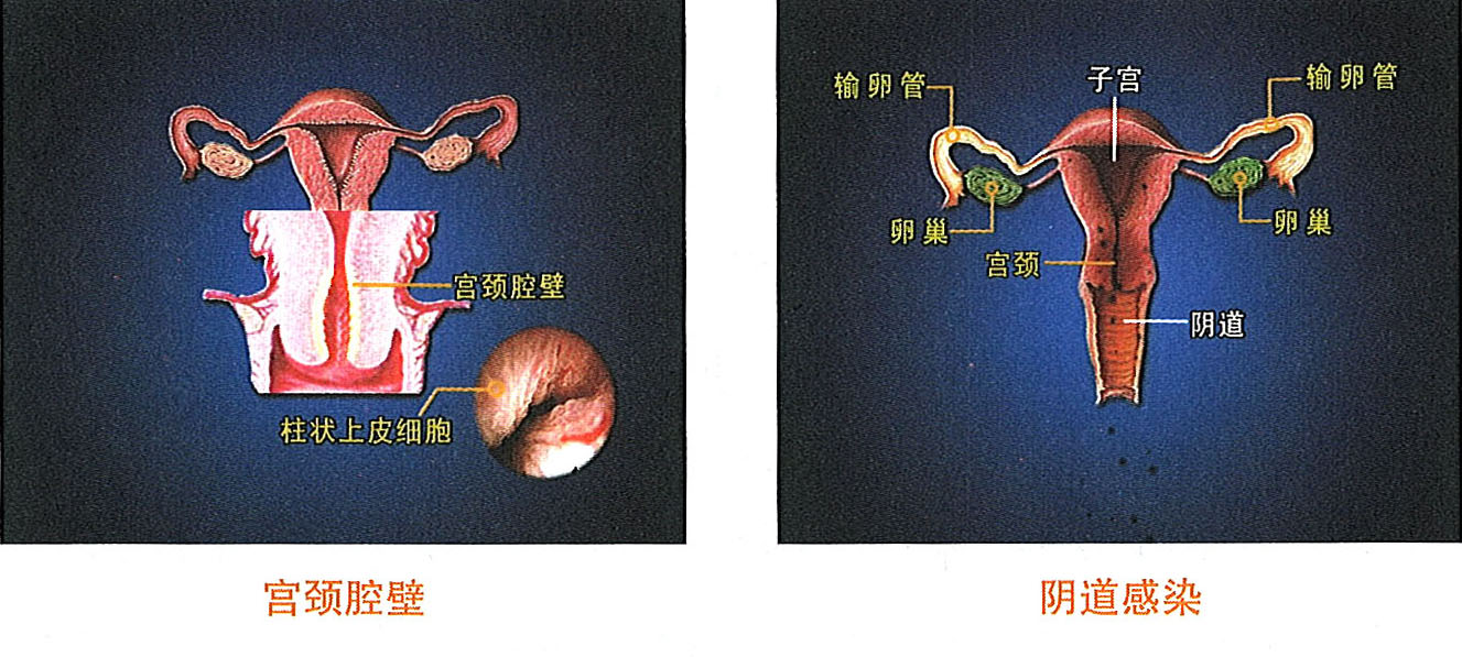zoty中欧·(中国有限公司)官方网站