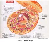 zoty中欧·(中国有限公司)官方网站